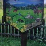 Foto 2023 2858182496