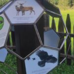 Foto 2023 1308279910