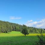 Foto 2023 3716975313