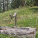 Foto 2023 1503679603