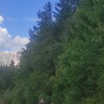 Foto 2023 2810072474