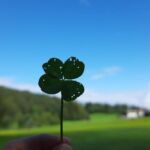 Foto 2023 3515532161