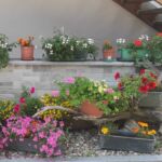 Foto 2023 1477082022