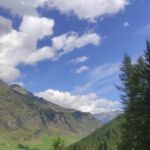 Foto 2023 3609320495