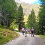 Foto 2023 3586926564