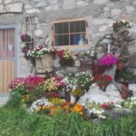 Foto 2023 1702374054