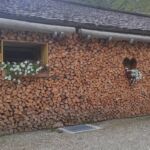 Foto 2023 1339645412