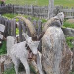 Foto 2023 1295296047