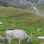 Foto 2023 3776389778