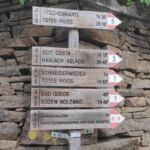 Foto 2023 1216532809