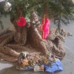 Foto 2023 3439401579