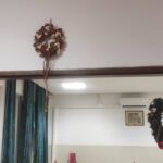 Foto 2023 3512819770