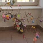 Foto 2023 3614064843